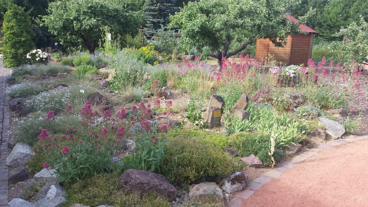 Wildbienenschaugarten Frankfurt summt